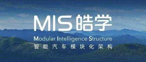 思皓(hao)qx 不氣盛還叫(jiao)年(nian)輕人(ren)嗎(ma)