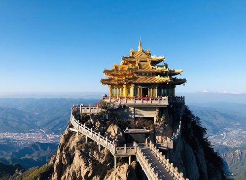 雲(yun)看(kan)萬(wan)張圖不(bu)如實(shi)地觀(guan)賞(shang)壹朵(duo)牡丹花